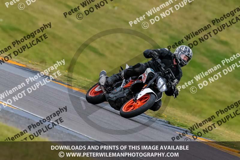 PJ Motorsport 2019;anglesey no limits trackday;anglesey photographs;anglesey trackday photographs;enduro digital images;event digital images;eventdigitalimages;no limits trackdays;peter wileman photography;racing digital images;trac mon;trackday digital images;trackday photos;ty croes